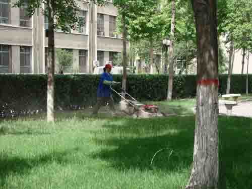 工廠、商務(wù)大樓、工業(yè)園區(qū)、私人企業(yè)、電影院、銀行、政府機(jī)關(guān)、學(xué)校、酒店娛樂場(chǎng)所等綠化養(yǎng)護(hù)