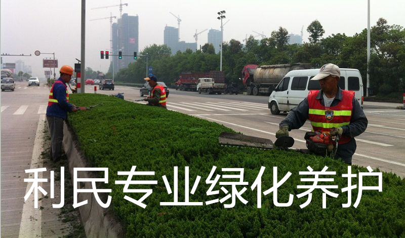 綠化養(yǎng)護(hù)
